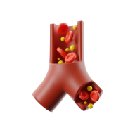 equizit