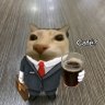 galonwhiskey